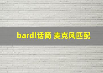 bardl话筒 麦克风匹配